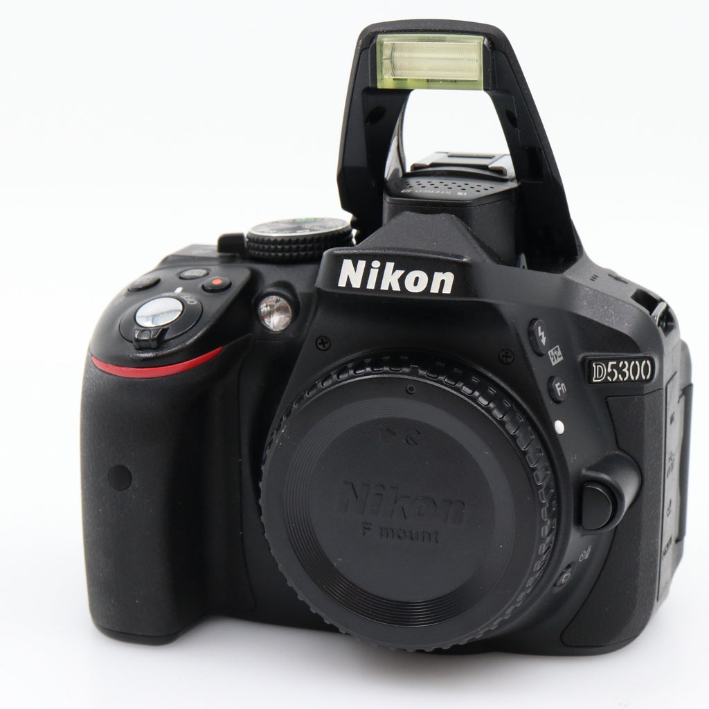 Nikon D5300 boîtier occasion
