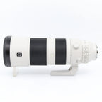 Sony FE 200-600mm F/5.6-6.3 G OSS occasion