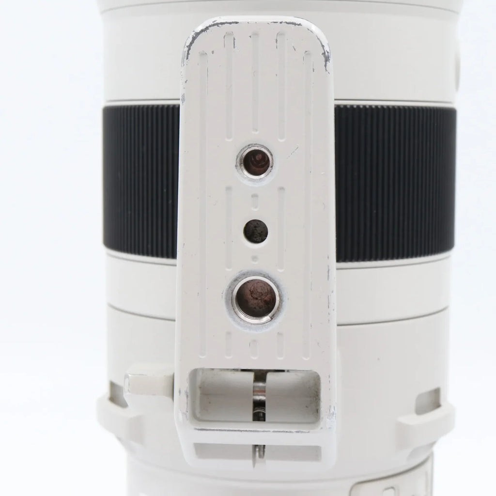 Sony FE 200-600mm F/5.6-6.3 G OSS occasion
