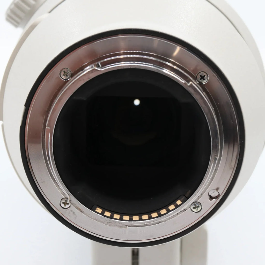 Sony FE 200-600mm F/5.6-6.3 G OSS occasion