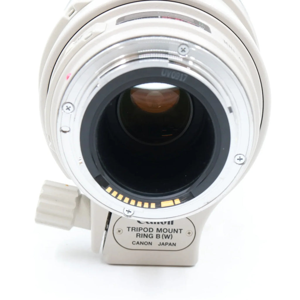 Canon EF 100-400mm f/4.5-5.6 L IS USM