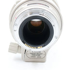Canon EF 100-400mm f/4.5-5.6 L IS USM