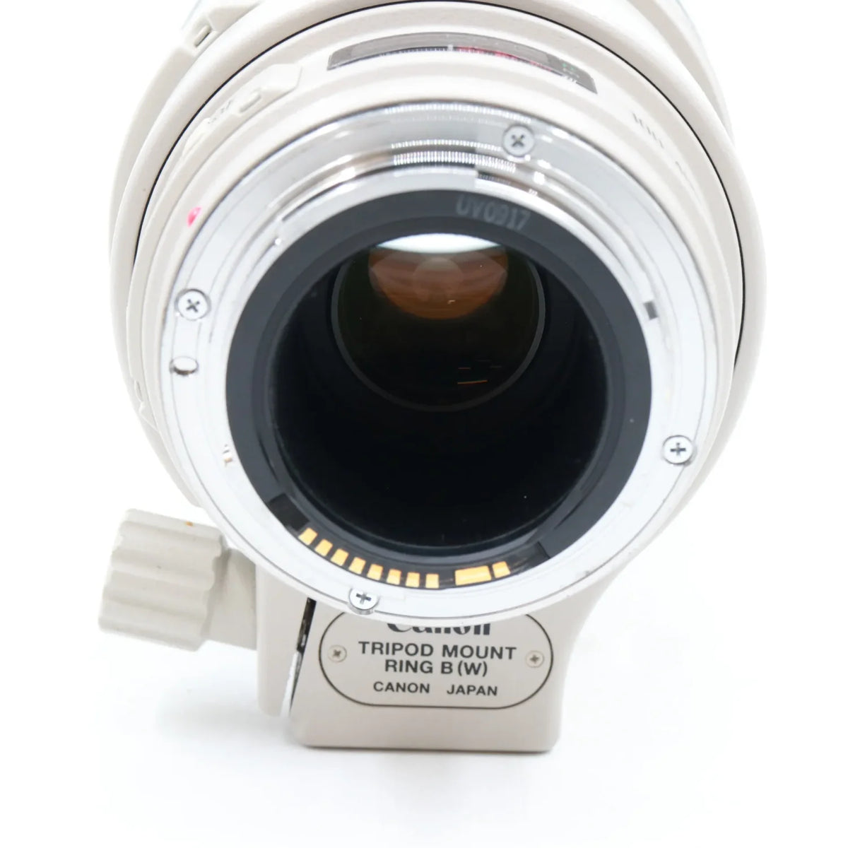 Canon EF 100-400mm f/4.5-5.6 L IS USM