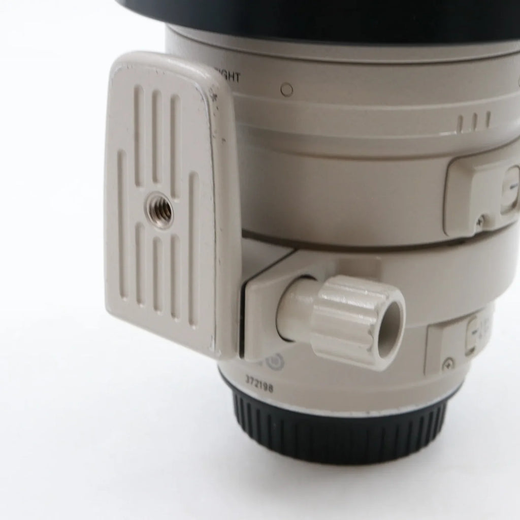 Canon EF 100-400mm f/4.5-5.6 L IS USM