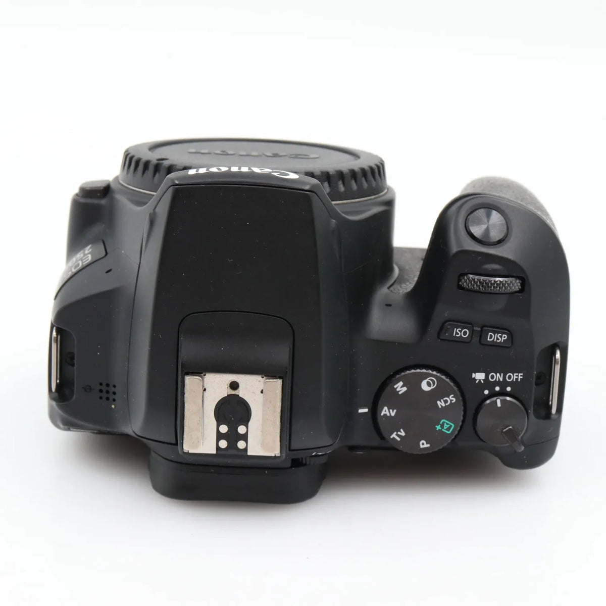Canon EOS 250D body tweedehands
