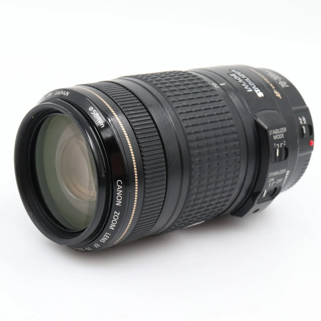 Canon EF 70-300mm f/4-5.6 IS USM