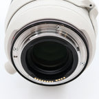 Canon RF 100-500mm f/4.5-7.1 L IS USM gebraucht