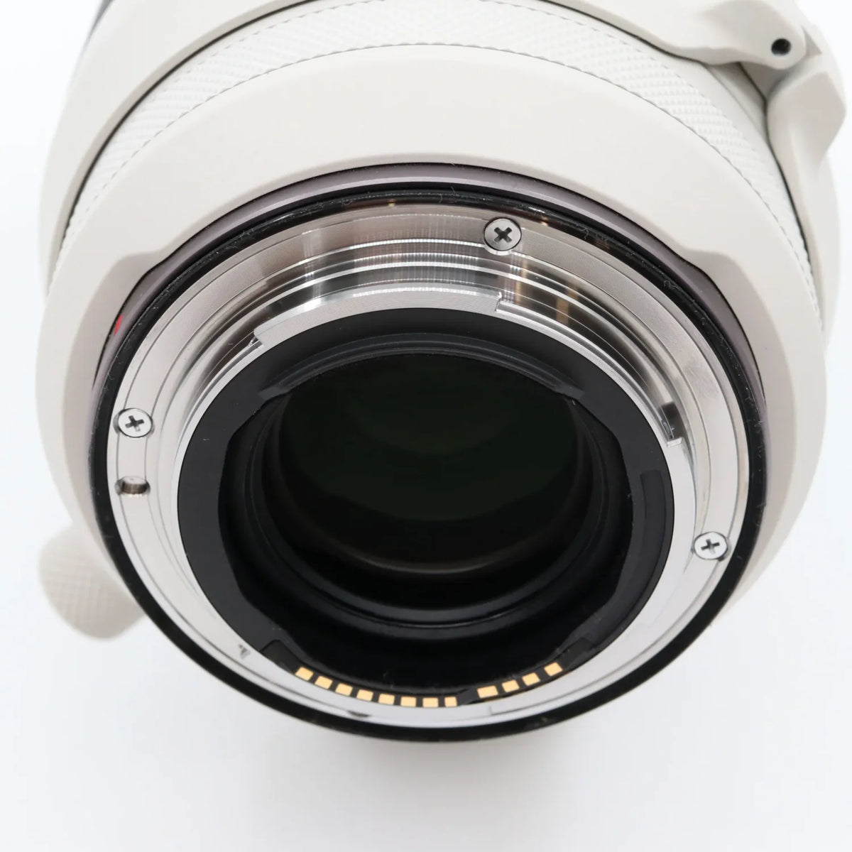 Canon RF 100-500mm f/4.5-7.1 L IS USM gebraucht