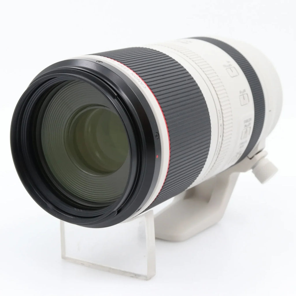 Canon RF 100-500mm f/4.5-7.1 L IS USM gebraucht