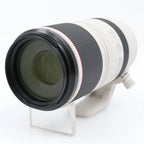 Canon RF 100-500mm f/4.5-7.1 L IS USM gebraucht