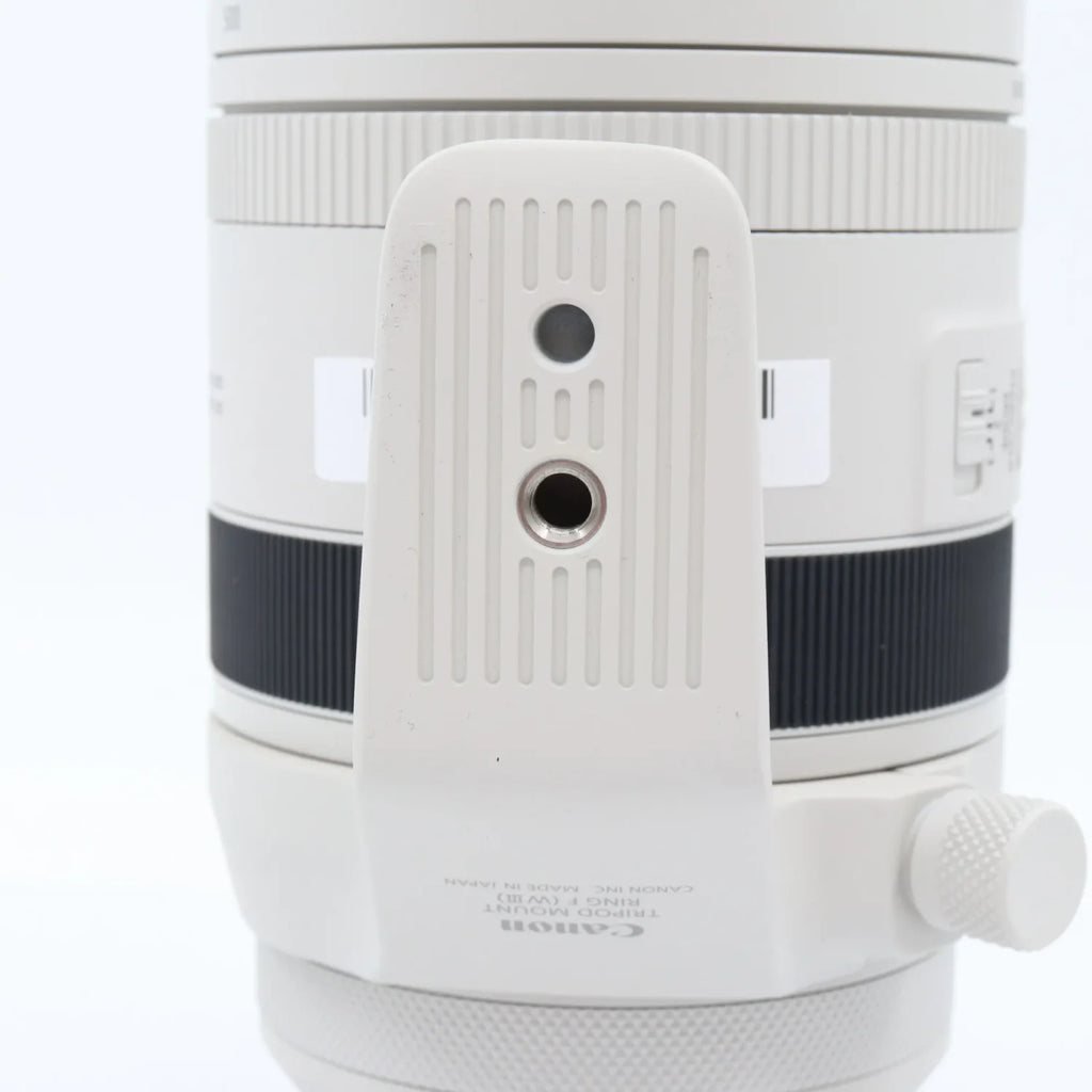 Canon RF 100-500mm f/4.5-7.1 L IS USM gebraucht