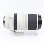 Canon RF 100-500mm f/4.5-7.1 L IS USM gebraucht