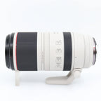 Canon RF 100-500mm f/4.5-7.1 L IS USM gebraucht