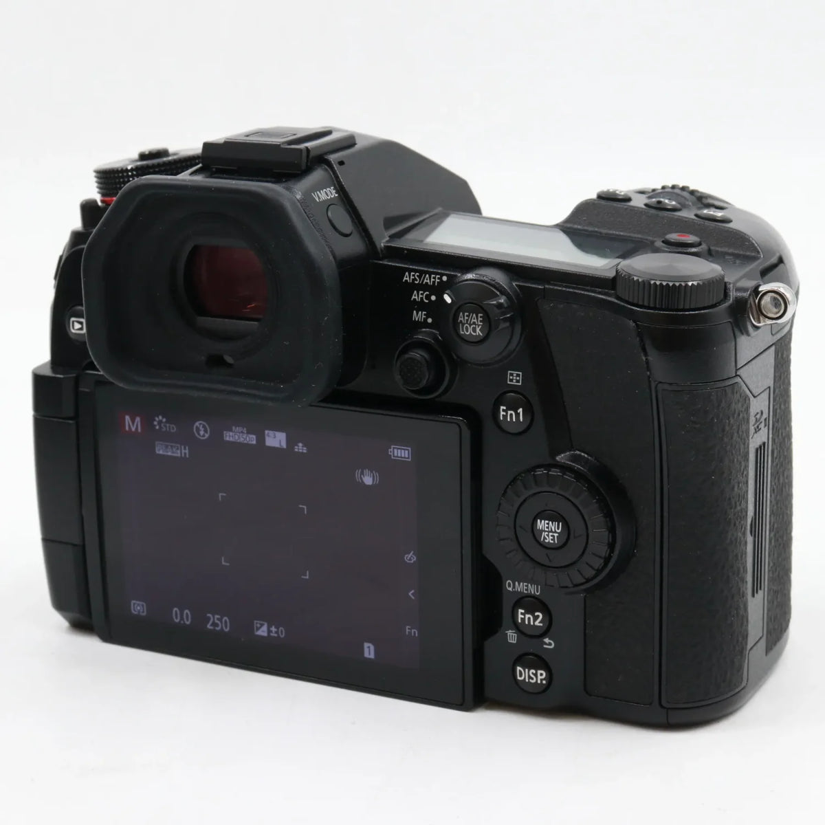 Panasonic Lumix DC-G9 body used