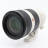 Sony FE 100-400mm F/4.5-5.6 GM OSS occasion