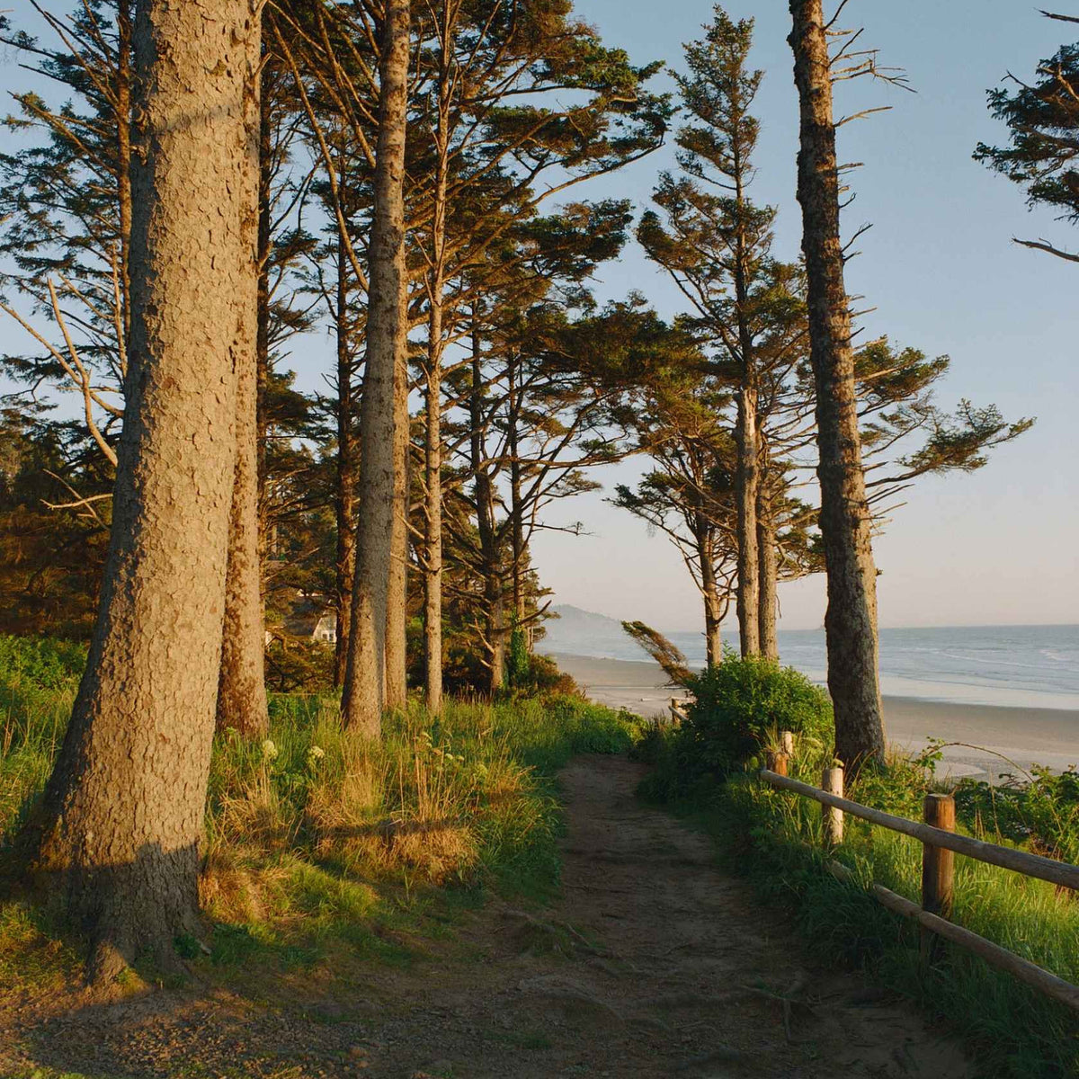 Kodak Ektacolor Pro 800 - 135-36
