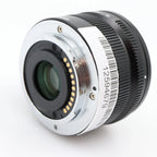 Panasonic Leica DG Summilux 15mm f/1.7 ASPH. usato