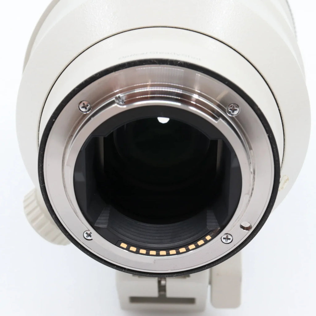 Sony FE 100-400mm f/4.5-5.6 GM OSS occasion