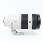 Sony FE 100-400mm f/4.5-5.6 GM OSS occasion