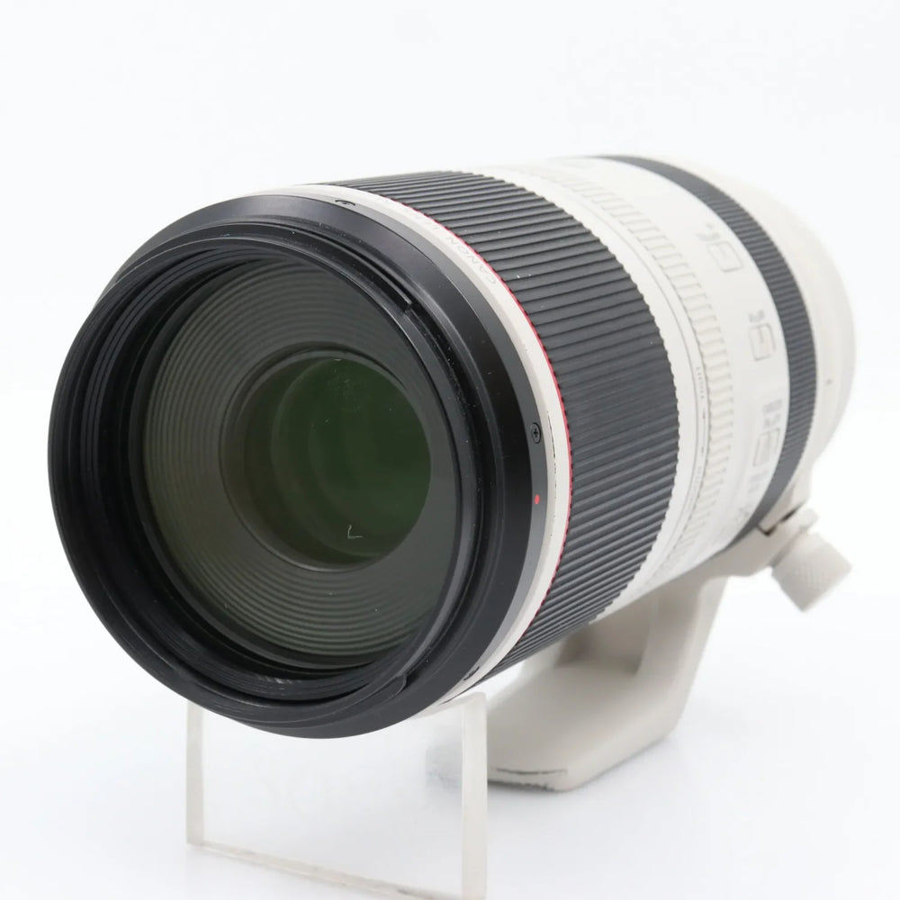 Canon RF 100-500mm F/4.5-7.1 L IS USM used