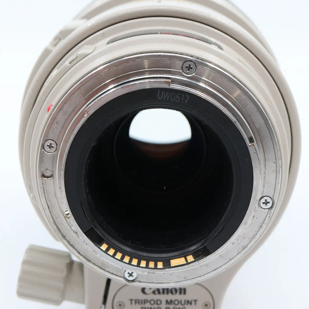 Canon EF 100-400mm f/4.5-5.6 L IS USM gebraucht