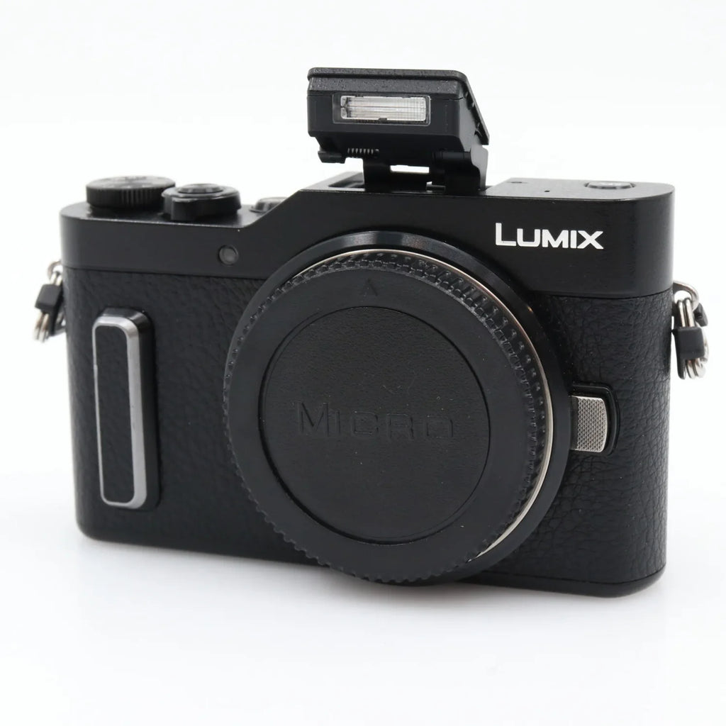 Panasonic Lumix DC-GX880 body used