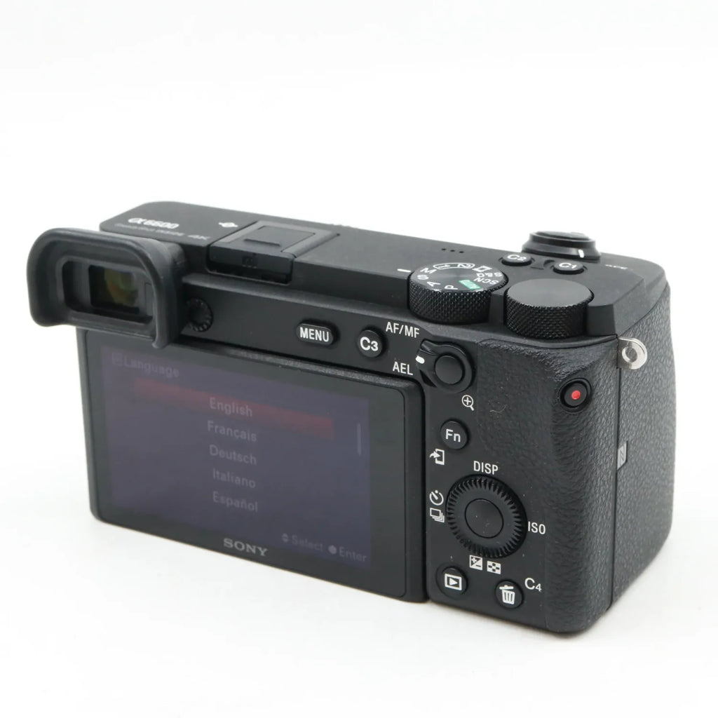 Sony A6600 body used