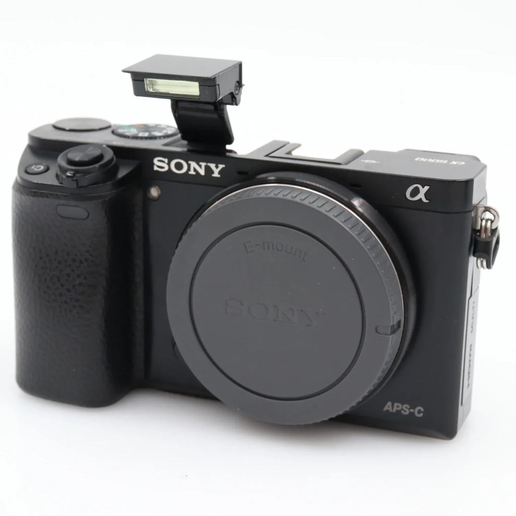 Sony A6000 boîtier occasion