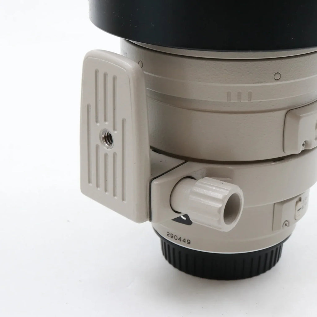 Canon EF 100-400mm f/4.5-5.6 L IS USM occasion