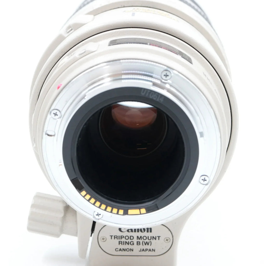 Canon EF 100-400mm f/4.5-5.6 L IS USM occasion