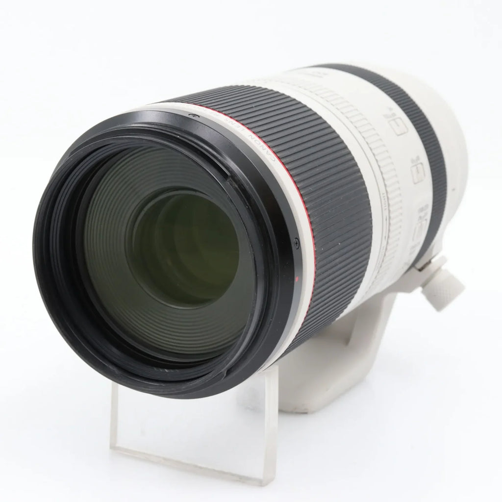 Canon RF 100-500mm f/4.5-7.1 L IS USM occasion