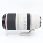 Canon RF 100-500mm f/4.5-7.1 L IS USM occasion