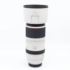 Canon RF 100-500mm f/4.5-7.1 L IS USM occasion