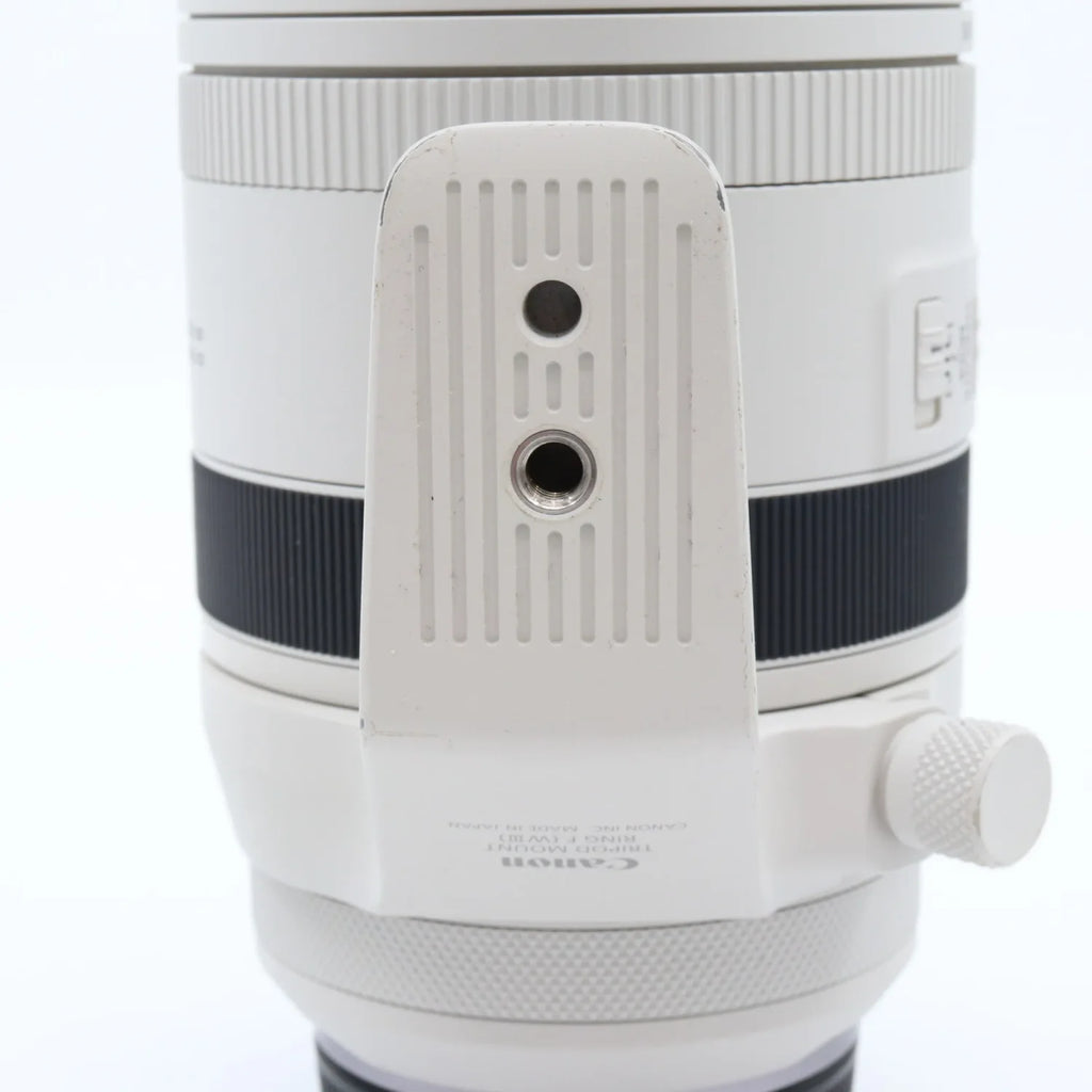 Canon RF 100-500mm f/4.5-7.1 L IS USM occasion