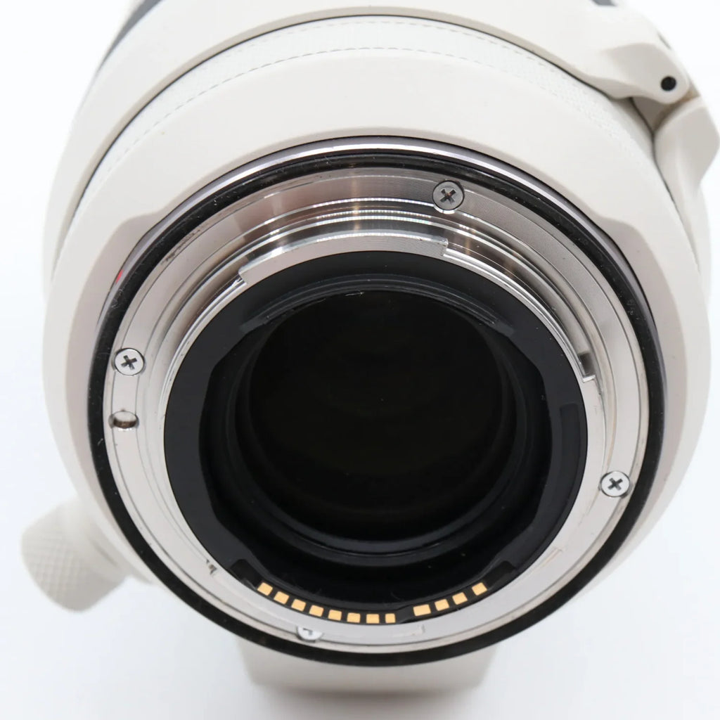 Canon RF 100-500mm f/4.5-7.1 L IS USM occasion
