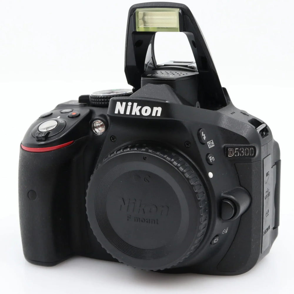 Nikon D5300 boîtier occasion