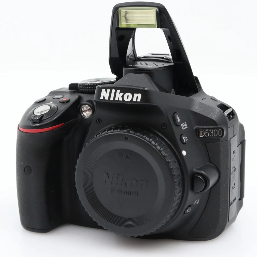 Nikon D5300 boîtier occasion