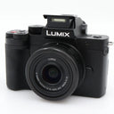 Panasonic Lumix DC-G100D + G Vario 12-32mm f/3.5-5.6 ASPH. Mega OIS gebraucht