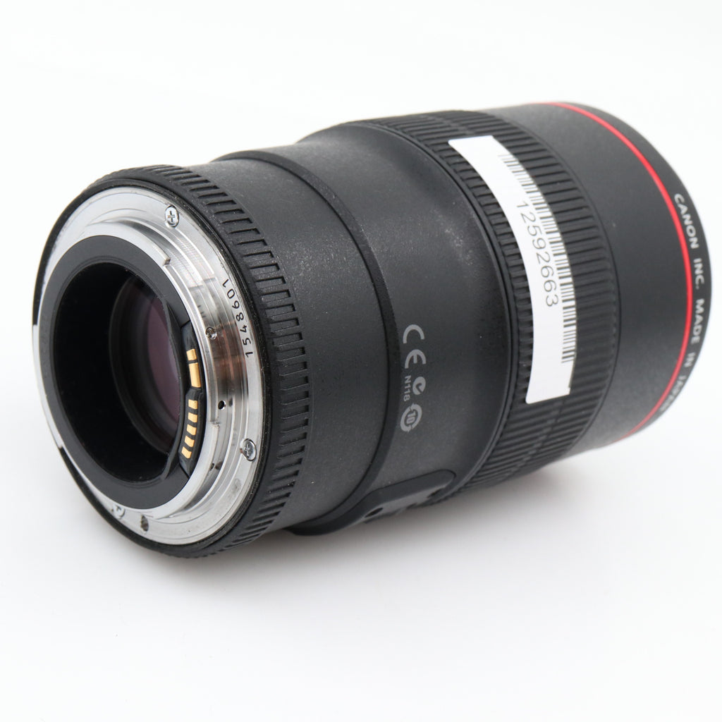 Canon RF 100mm f/2.8L Macro IS USM usato