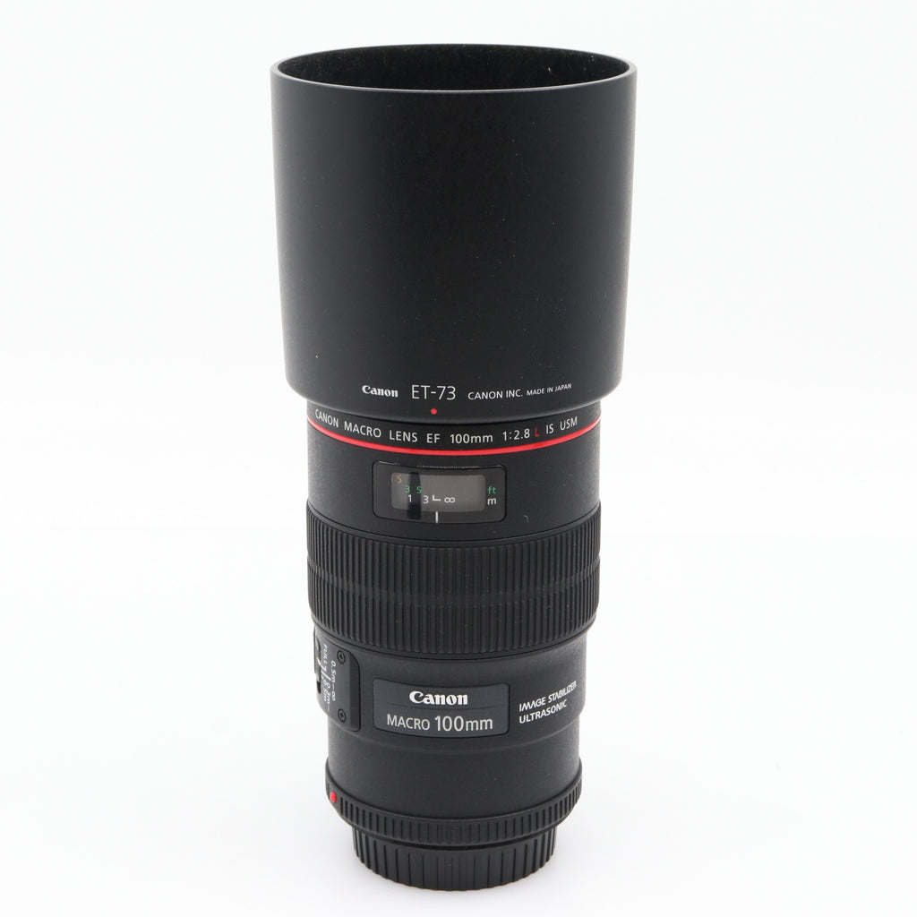 Canon RF 100mm f/2.8L Macro IS USM usato