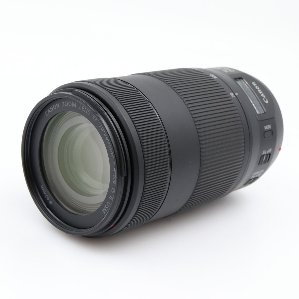 Canon EF 70-300mm f/4-5.6 IS II USM