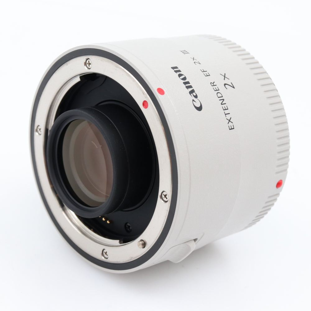 Canon EF 2x III Extender (teleconverter) used