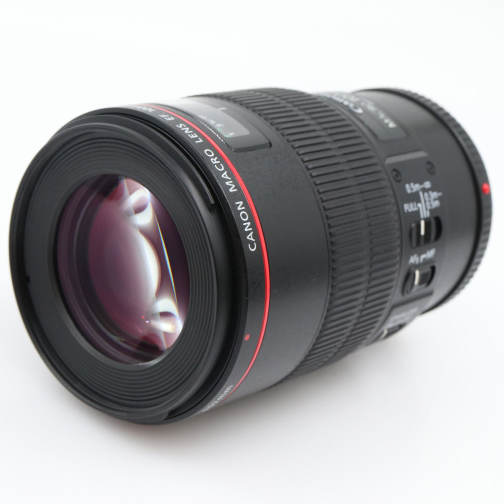 Canon EF 100mm f/2.8 L IS USM Macro tweedehands
